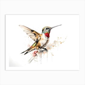 Kolibri Hummingbird - Water Color Painting 16 Art Print