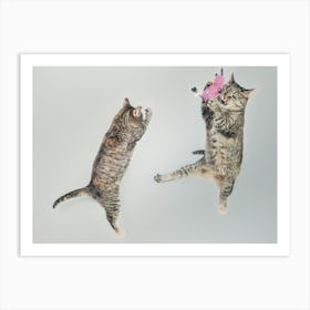 The Jumping Cats Art Print