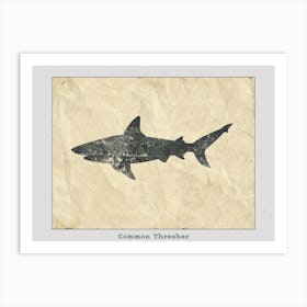 Common Thresher Shark Silhouette 4 Poster Art Print