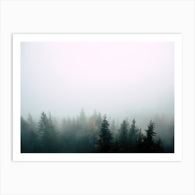 Hazy Fog Covered Woodland Art Print