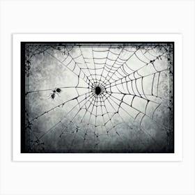 Spider Web 2 Art Print