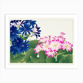 Chrysanthemums Art Print