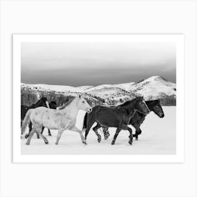Wild Horses In Wyoming Art Print