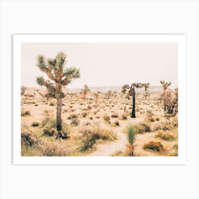 Warm California Desert Art Print