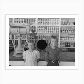 Untitled Photo, Possibly Related To Corner Of General Store, Ericsburg, Minnesota By Russell Lee Art Print