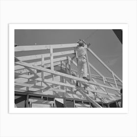 Southeast Missouri Farms Project,House Erection, Shop Assembled Trusses Are Raised In Place By Regular Art Print