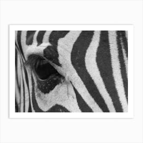 Zebra Eye Art Print