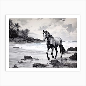 A Horse Oil Painting In Punalu U Beach Hawaii, Usa, Landscape 2 Art Print