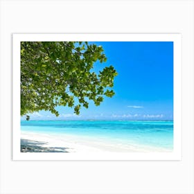 Relax Ocean Plant Idylli Holiday Coastline Beautiful Calm Shore Blue Paradise Sunlight N (19) Art Print