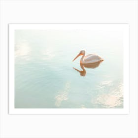 Pelican In Mirror Water Art Print