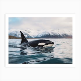 Realistic Photography Of Orca Whale Emerging Out Of Water With Icy Mountain In Background 1 Art Print