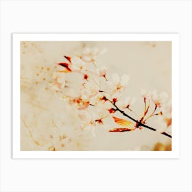 Blossom Art Print