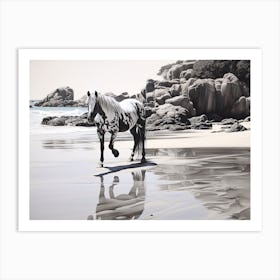 A Horse Oil Painting In Boulders Beach, South Africa, Landscape 1 Art Print
