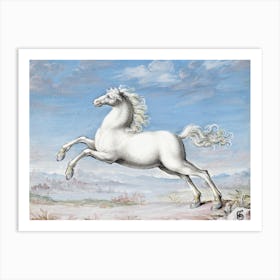 White Horse, Joris Hoefnagel Art Print