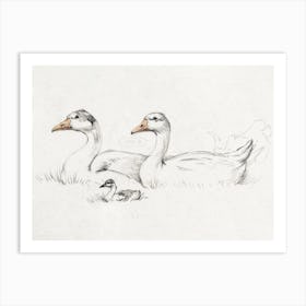 Two Geese With A Young, Jean Bernard Art Print