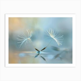 Dandelion 23 Art Print