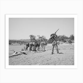 Mr, Leatherman Shoots A Chicken Hawk Which Has Been Bothering His Chickens, Pie Town, New Mexico By Russell Lee Art Print