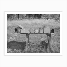 Mail Boxes Near Auburn, California, Notice The Japanese Name, The Japanese Are Moving Into This Section Art Print