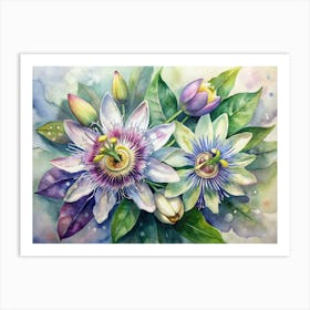 7 Passionflowers With Intricate Patterns Art Print