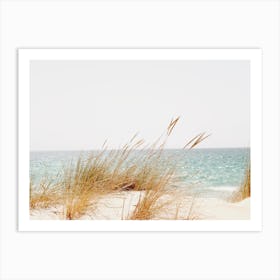 Sand Dune Grass Art Print