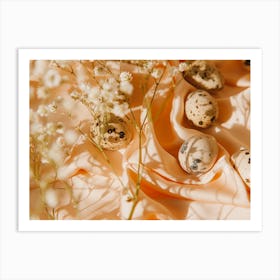 Quail Eggs 3 Art Print