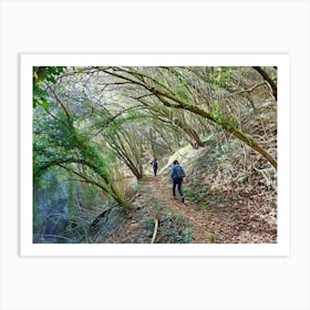 Autumn Walk in the Forest. Walking along a leaf-covered path in a dense forest. The trees are tall and their branches form a canopy overhead, with sunlight filtering through the leaves, creating a serene and picturesque scene. 1 Art Print