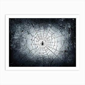 Spider Web 1 Art Print