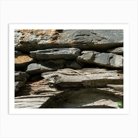 Lizard On Stone Wall 20210824 66ppub Art Print