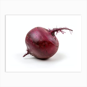 Beetroot isolated on white background. Art Print