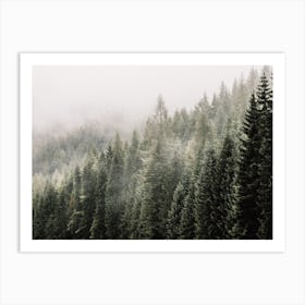 Misty Forest Scenery Art Print