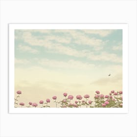 Pink Flowers In A Field Art Print