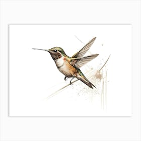 Kolibri Hummingbird - Water Color Painting 14 Art Print