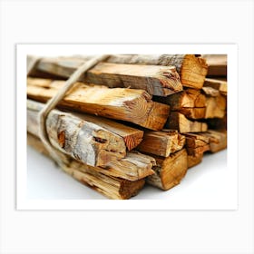 Stacked Logs 2 Art Print