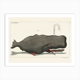 Twain'S Whale Art Print