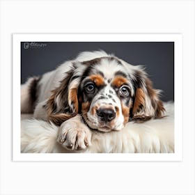 English Spaniel Puppy Lying On Soft White Fur In A Closeup Portrait Adorned With A Gold Collarcol (5) Affiche