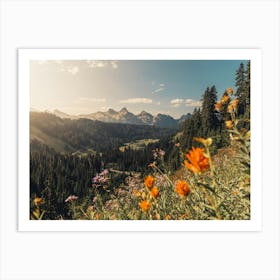 Wildflowers In The Mountains - Mount Rainier National Park Art Print