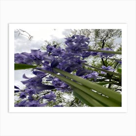 Img 4333 Spring in the arboretum Art Print