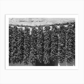 Chili Peppers Hanging From Adobe House Top While Drying, Isletta, New Mexico By Russell Le Art Print