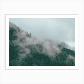 Forest Fog Art Print