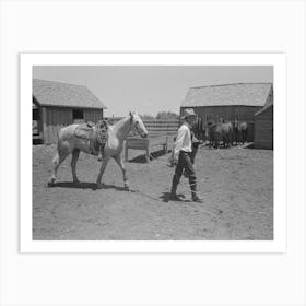 Cowboy Leading Horse Which He Has Just Saddled,Cattle Ranch Near Spur, Texas By Russell Lee Art Print