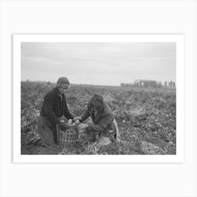 Young Potato Workers Near East Grand Forks, Minnesota By Russell Lee Art Print