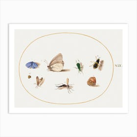 Two Butterflies With Five Other Insects (1575–1580), Joris Hoefnagel Art Print