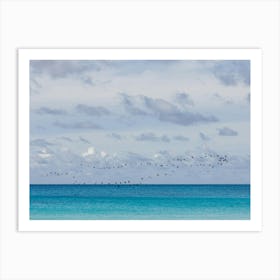 Birds Flying Over The Blue Ocean Art Print