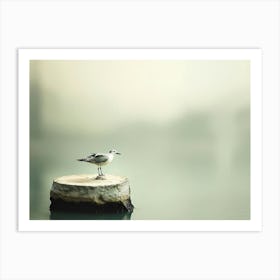 Seagull On A Stump Art Print