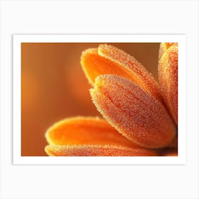 Close Up Of Orange Flowers Art Print