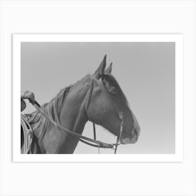 Horse S Head, Notice Cowboy Gloves, Cattle Ranch Near Spur, Texas By Russell Lee Art Print