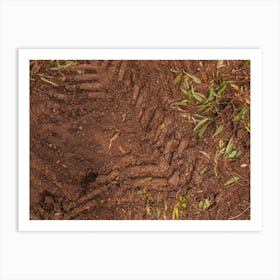 Texture Of Brown Mud With Tractor Tyre Tracks 3 Art Print