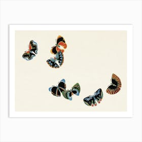 Japanese Woodblock Butterfly, Cho Senshu Art Print