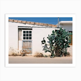 White house with Cactus // Ibiza Travel Photography Art Print