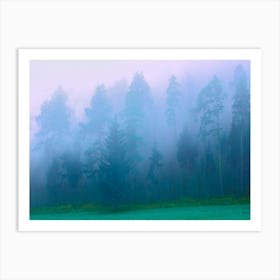 Foggy Morning in forest 1 Art Print